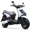 TDR140Z Electric Motor Scooter