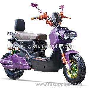 TDR210Z Electric Motor Scooter 1000w