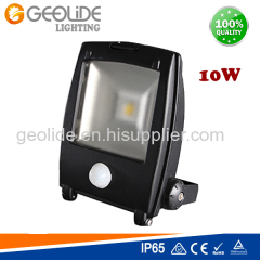 Quality 30W Outdoor LED Floodlight for Park with Ce (Flood Light 110PIR-30W)