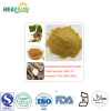 Pueraria Root Extract Powder