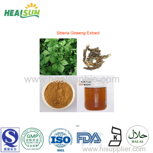Siberia Ginseng Extract Powder Eleutheroside (B+E) 0.8%~1.5% HPLC
