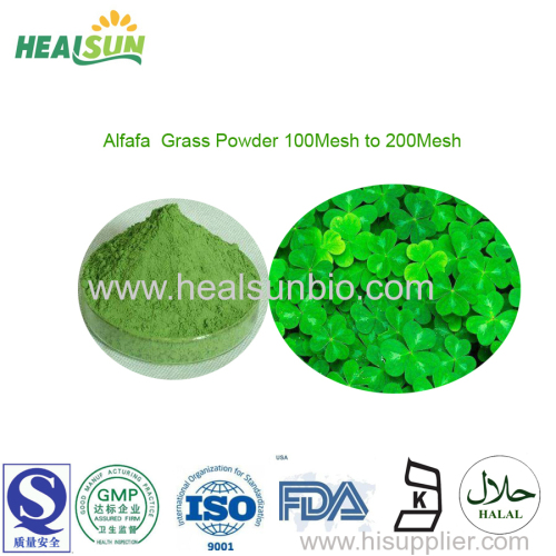 organic Alfafa Grass Powder 200mesh powder