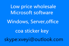 Wholesale [Windows 10] license [coa sticker] brand new oem coa label with online key