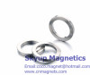 Ring Neodymium magnets used in motro magnets