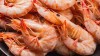 IQF HLSO or Hoso frozen Penaeus Vannamei Shrimp