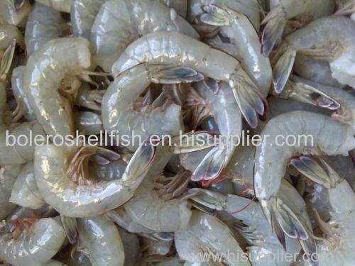 Heads On / Shell ON Fresh Frozen Vannamei Shrimp and White Shrimps