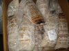 Frozen IQF Slipper Lobster In Canadian Good Tasted