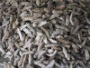 Sandfish Sea Cucumber for sale