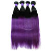 Purple Ombre Hair Brazilian Straight Ombre Color Hair 1B/Purple