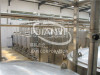 Professional complete fruit juice production line