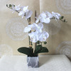 Home Furniture Artificial Phalaenopsis White flowers in marble ceramic pot for Homes/Hotels/Table decor