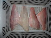 Pacific ocean perch) IQF