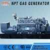 CE approved 800 kw generator sygas power generation