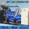 Customized CE 150kW generator propane powered for sale