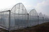 multi span greenhouse with cooling system