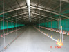 galvanized prefabricated broiler coop shed steel structure chicken farm house building