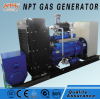 CE approved 50 kw biomass generator