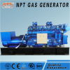 CE approved 500kW natural gas generator