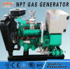 China CE silent 40kw natural gas generator