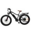 26' mountain aluminum fat tire 48v500w beach cruiser ebike