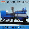 400kw new design natural gas cogenerator