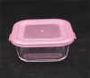 Simple lid glass food container