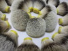 Silvertip Badger Beard Brush Knot