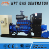 50kW Silent Nature Gas Genset