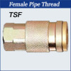 Female Pipe Thread