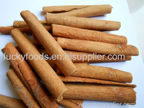 Hot Sale Cassia Tube