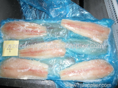 Frozen Pacific hake fillets skinless PBO interleaved (Merluccious Productus)