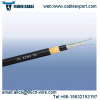 All Dielectric Self Supporting Optical Fiber Cables ADSS Cable