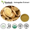 Angelica Root Extract Angelica Archangelica extract