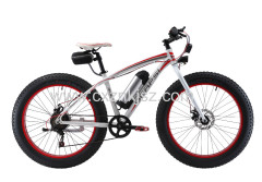 Electric Bicycle (Snow Bike)