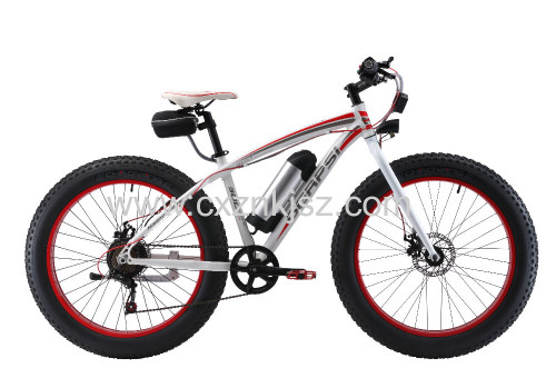 Electric Bicycle (Snow Bike) 