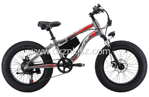 Electric Snow Bike Bicycle