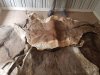 Super Dry and Wet Salted Donkey Hides