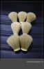 22/65mm Horse Hair Wet Shaving Brush Knot