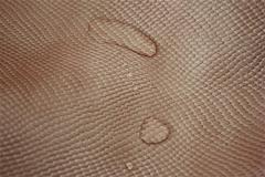 Snake printed new design pvc leather for shoes