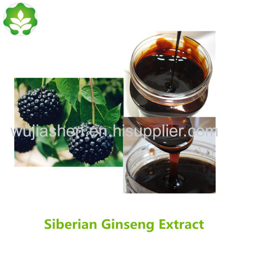 superior siberian ginseng extract liquid for healthcare