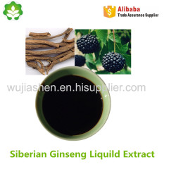 natural siberian ginseng P.E to enhance energy