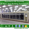metal storage buildings kits and structral steel workshop to Egypt customer
