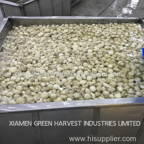 Canned whole champignon buttom mushroom from China supplier factory mass production 2018