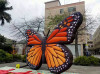 Giant inflatable butterfly for advertising