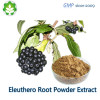 GMP certificated siberian ginseng root powder for energy