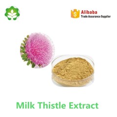 qualified milk thistle extract UV80% for animals and cosmetics