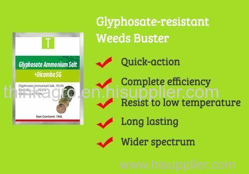 Glyphosate Ammonium Salt 59.5%+Dicamba 10.5% SG