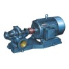 Light duty slurry pump