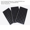 72 cell plastic seed growing tray 540*280*50mm