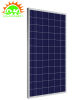 250w poly solar panel with low price